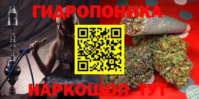 гидропоника Дубна