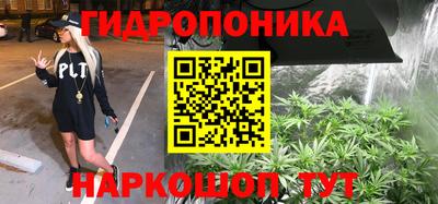 гидропоника Дубна
