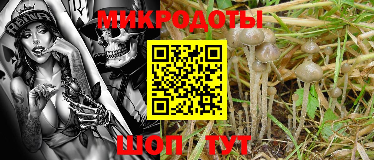 Галлюциногенные грибы MAGIC MUSHROOMS Костомукша