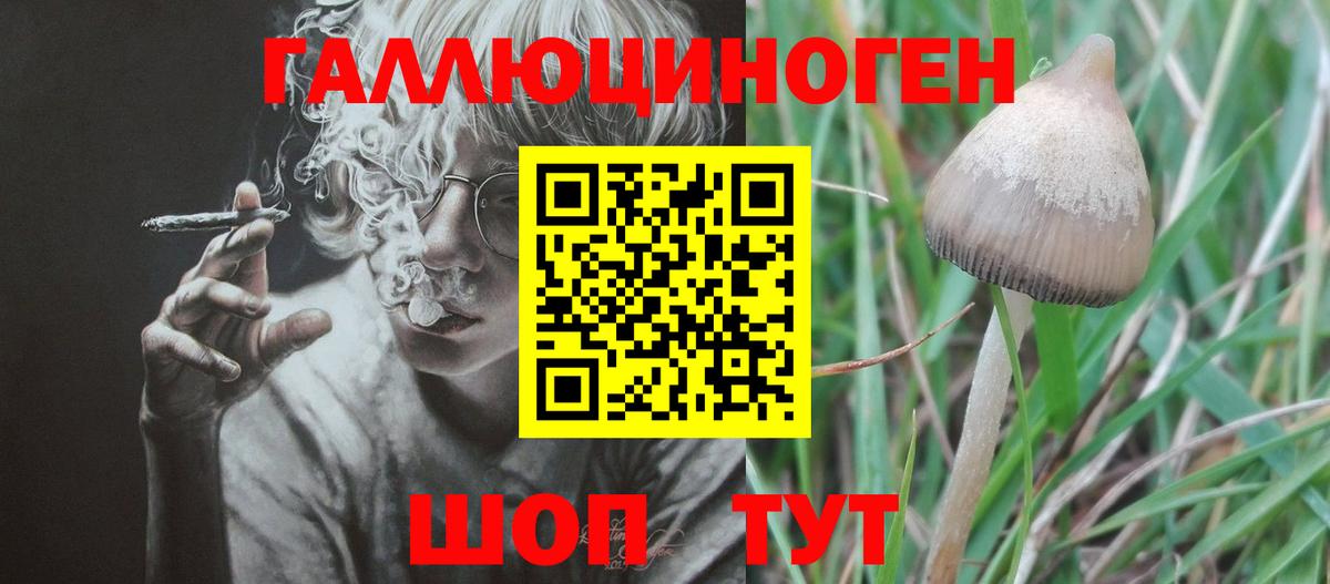 Псилоцибиновые грибы GOLDEN TEACHER  Галлюциногенные грибы Cubensis  Костомукша  Вход с VPN 